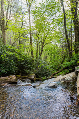 Looking Down Over the Basin of Rainbow Falls