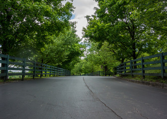 Low Angle of Fence Lined Road