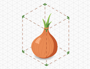 isometric onion in bounding box