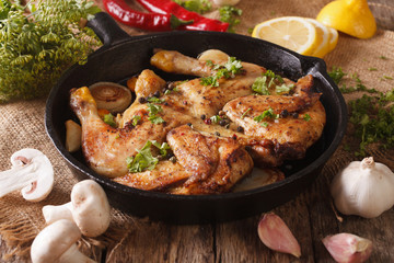 Homemade tobacco chicken and vegetables close-up. horizontal
