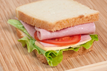 Tomato, salami and cheese sandwich