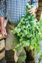 man knits bath broom, harvesting birch brooms for a bath