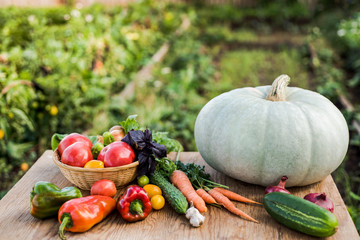 Home grown vegetables, seasonal harvest 