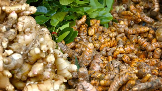 Video 1920x1080 - Fresh ginger, turmeric root and aromatic kaffir lime leaves, all important flavor elements for Southeast Asian cuisine, for sale at an outdoor, public market.