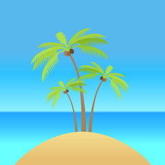 Fototapeta na wymiar Palm Tree with Coconut