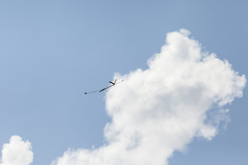 RC glider aeromodelling flying in the blue sky, white clouds background