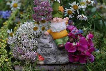 Wildblumen mit Zwerg und Text Willkommen
