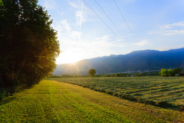 Italian countryside landscape