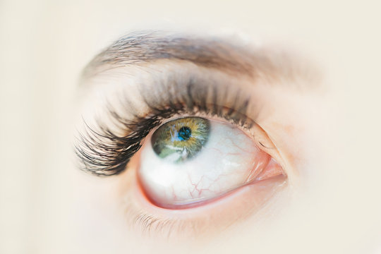 female green eye with long eyelashes