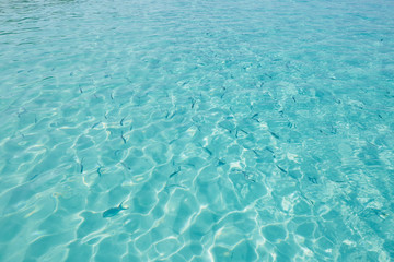 vacation on island in sea