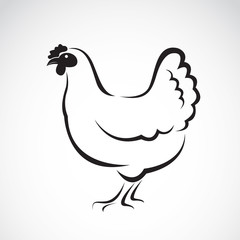 Vector of a hen design on white background. Animals.