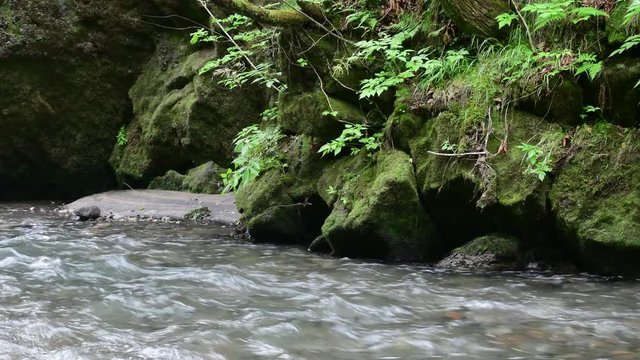 北海道 苫小牧市 樽前ガローの清流 / Tarumaegaro Hokkaido Tomakomai Japan 4K
