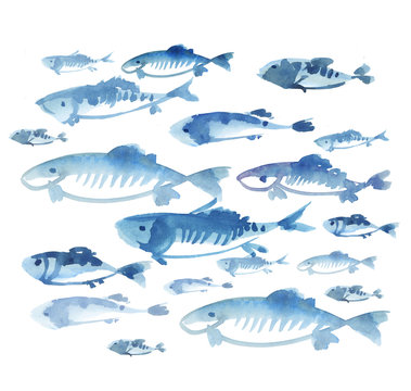 fish flock isolated on white background. watercolor hand drawn i