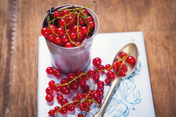 red current in bucket