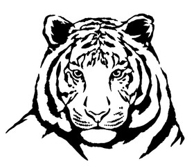 black and white ink draw tiger illustration
