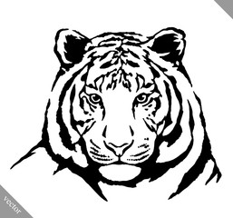 black and white ink draw tiger vector illustration