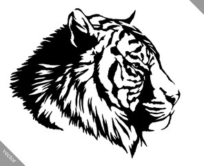 black and white ink draw tiger vector illustration