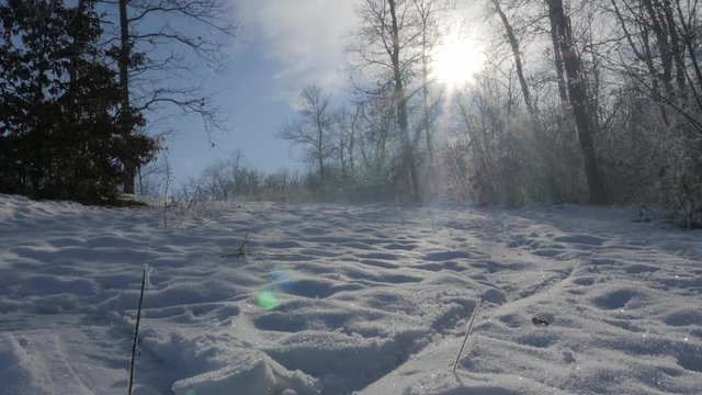 Forest on Kraljevica park hill snowed under 4K 2160p UHD footage - Hills and trees near town of Zajecar covered with snow 4K 3840X2160 UHD video 