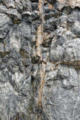 White marble texture