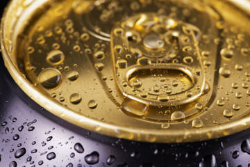 Golden and black can