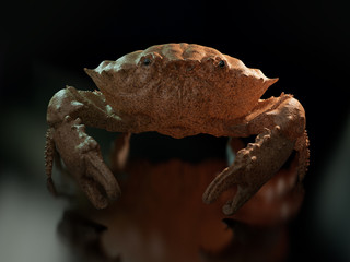 Colorful shapes. Rock climbing holds. Fun shapes. 3d illustration