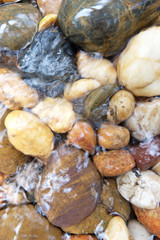 Round stones in a mountain river background