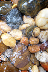 Round stones in a mountain river background