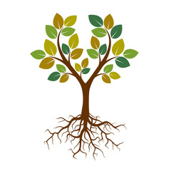 Color Tree and roots. Vector Illustration.