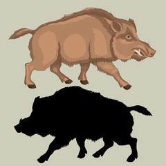 Wild boar adult realistic black color silhouette set