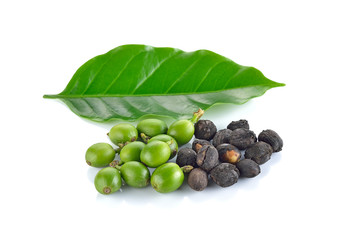 coffee beans and leaf on white background