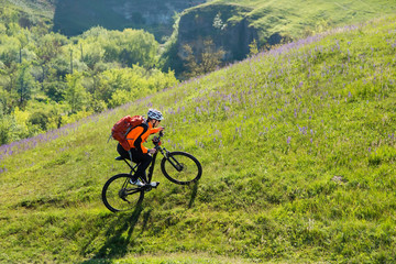 Obraz premium Cyclist on the Beautiful Meadow Trail