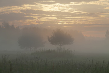 Morning sunrise over a field