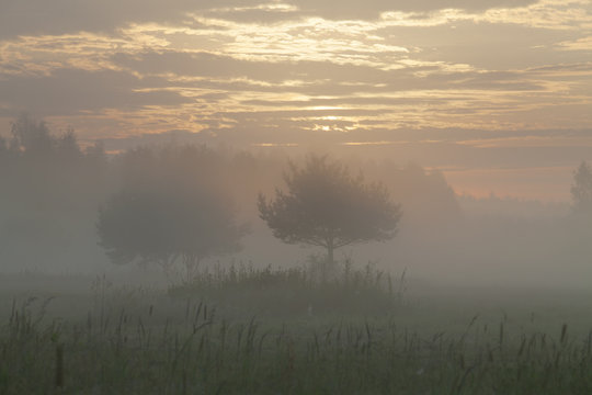 Morning sunrise over a field © Alexey Kuznetsov