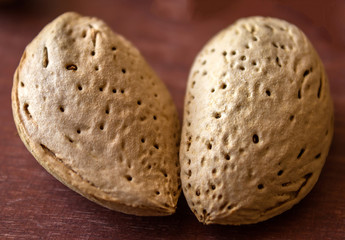 Almonds in the shell close up.