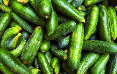 cucumbers on the market