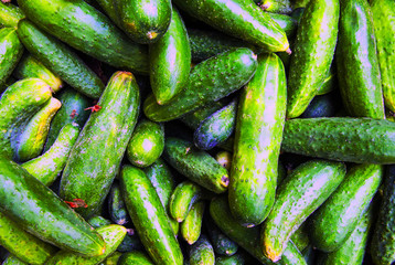 cucumbers on the market