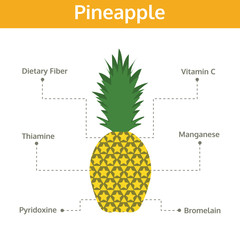 pineapple nutrient of facts and health benefits, info graphic