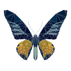 polygon butterfly with white line, poly low animal