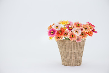 Gerbera Flower in basket