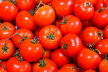 fresh tomatoes
