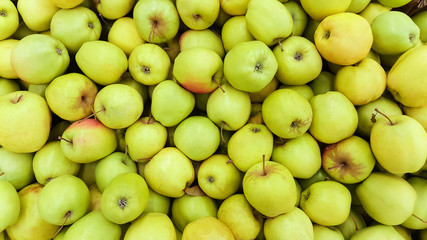 background of green apples 