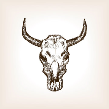 recommend clip art: Cow skull hand drawn sketch style vector