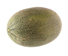 Melon on white background
