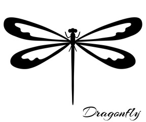 Black and white dragonfly - obrazy, fototapety, plakaty
