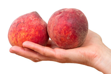 Two peaches on a palm