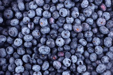Obraz na płótnie Canvas blueberry background