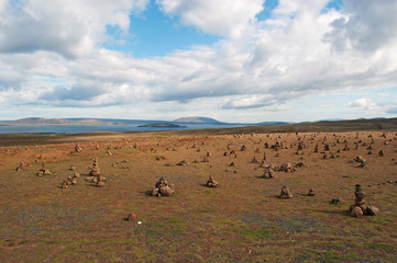 Islanda: castelli di pietra a Thingvellir il 16 agosto 2012. Thingvellir è parco nazionale e un...