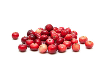 ripe cranberries isolated on white background