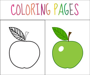 Coloring book page. Apple. Sketch and color version. Coloring for kids. Vector illustration