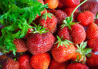 Fresh strawberry and mint. Selective focus